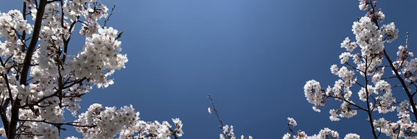 sin_ringono Profile Banner