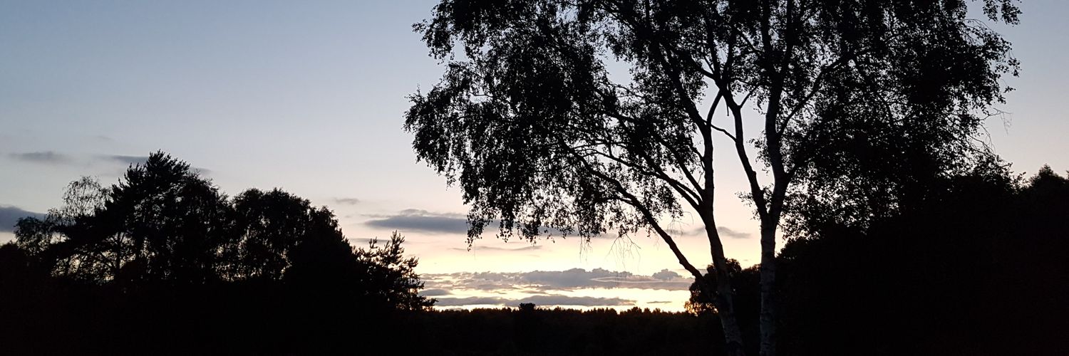 hpriest92's profile banner image