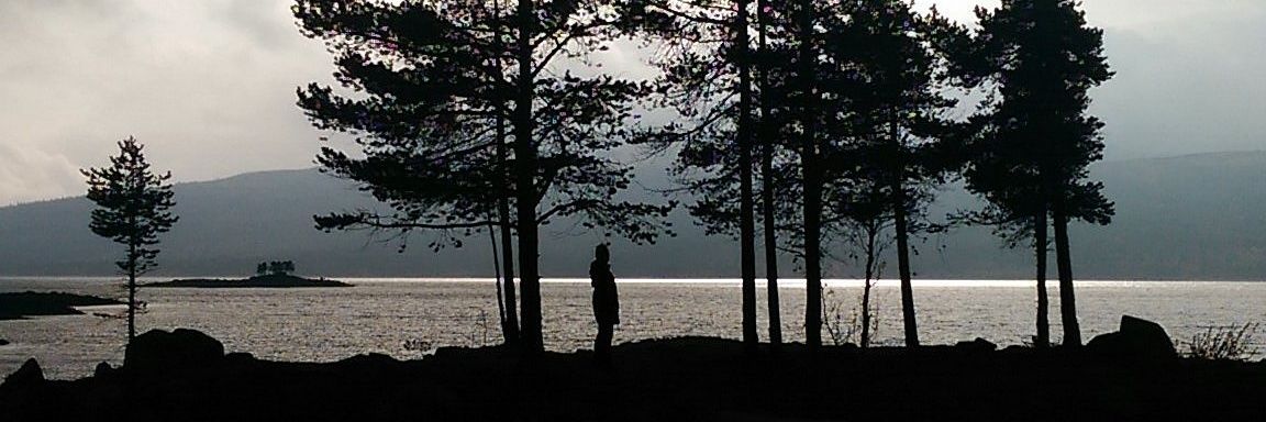 johwilly3's profile banner image