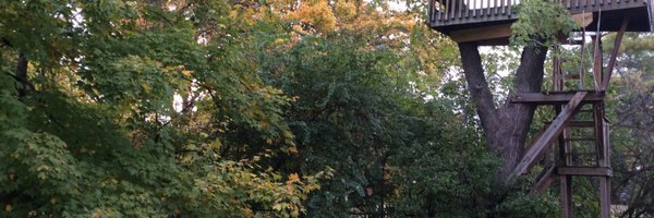EdgarMeyerJr Profile Banner