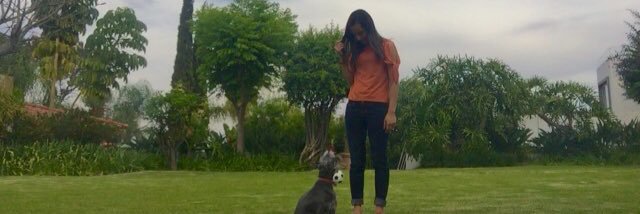 soysofiaelias's profile banner image
