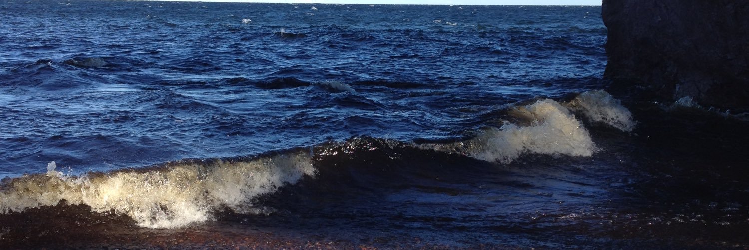 Jennifer Felton banner