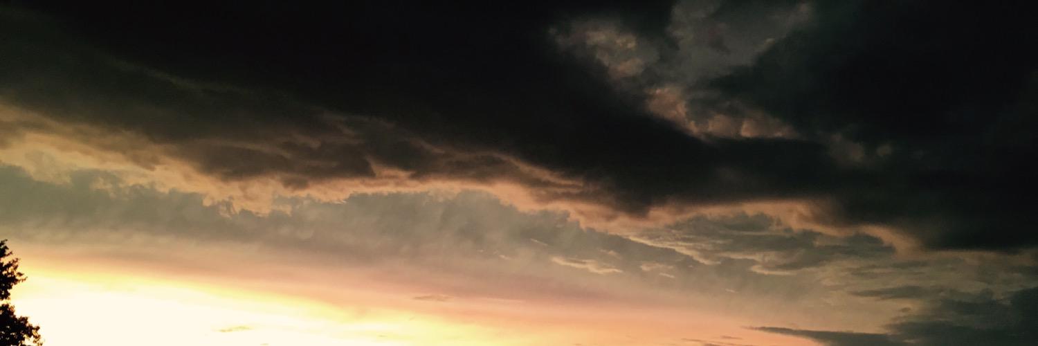 _erinschwartz's profile banner image