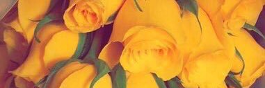 alshoq_q's profile banner image