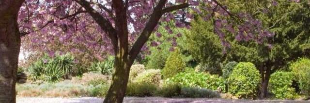 Shannon Marlowe banner
