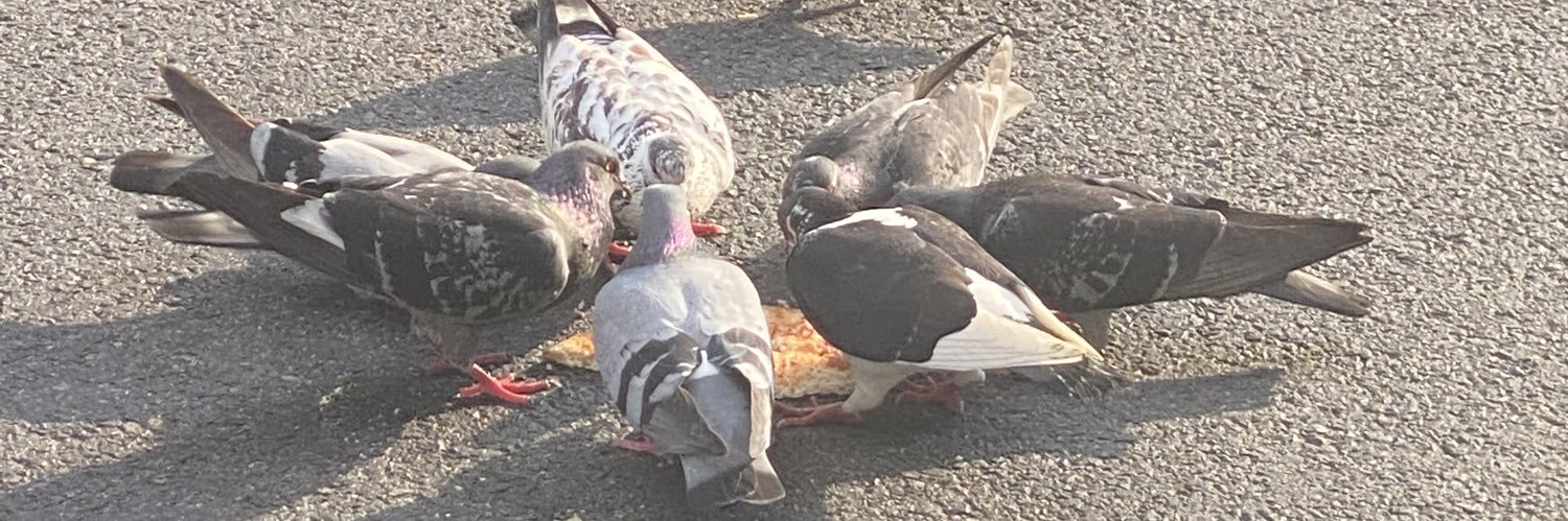 1orryl's profile banner image