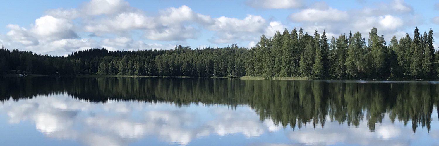 Atte Palomäki banner