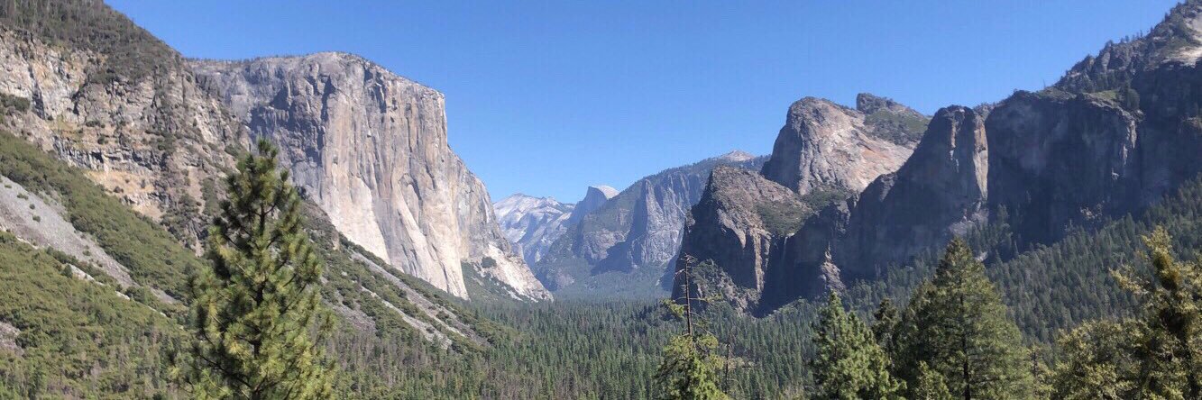 Victoria Teymourian-Yates banner