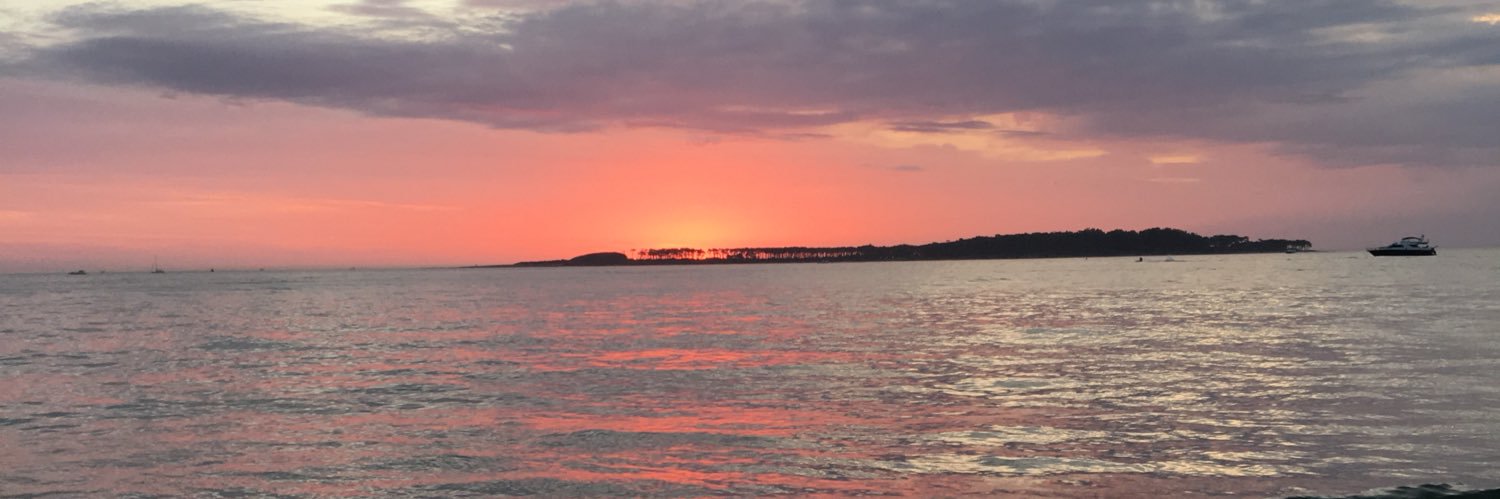 mdelsoll's profile banner image