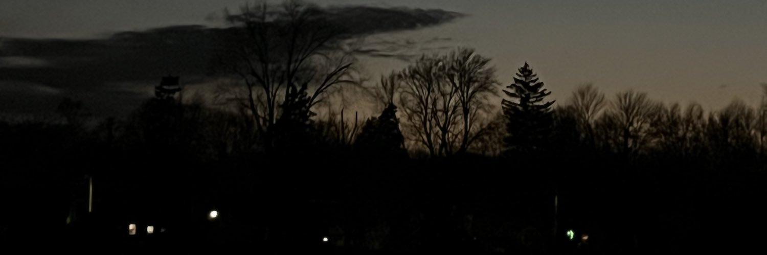 wastedvixen's profile banner image