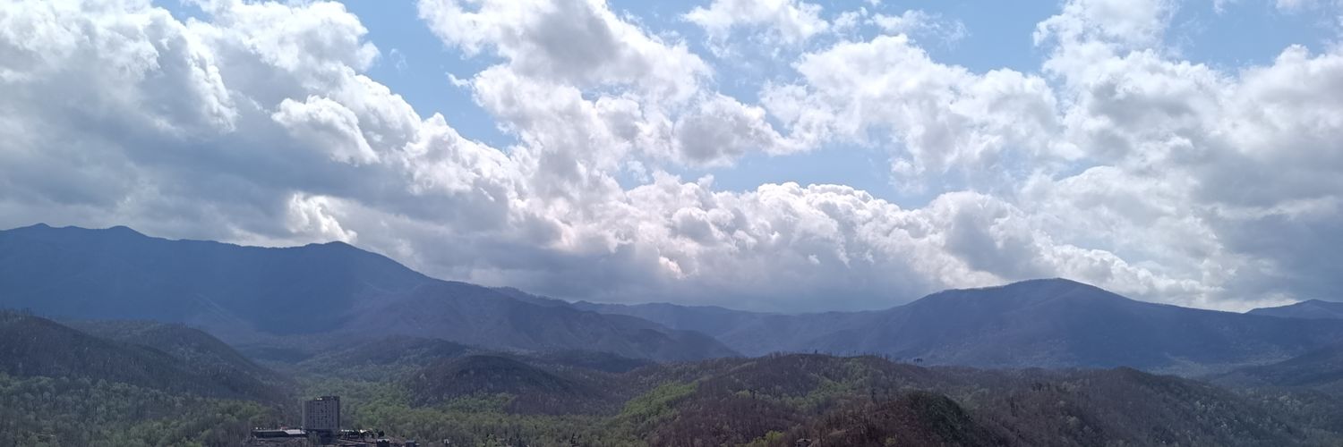 DondanglerDon's profile banner image