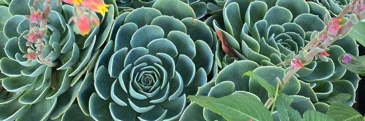 partida_itzel's profile banner image
