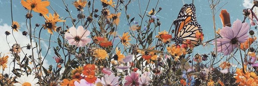 courto_3's profile banner image