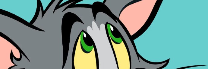 naef96533's profile banner image