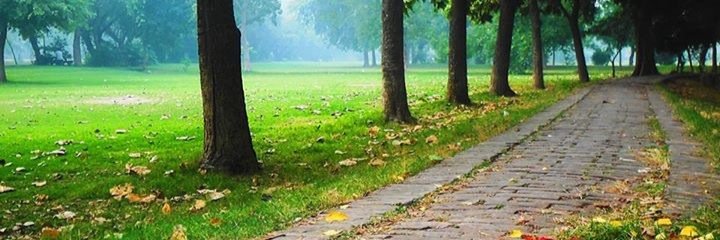 artbymanzar's profile banner image