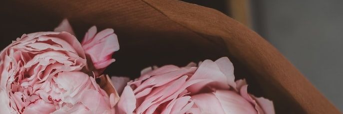 LilBiscuit___'s profile banner image
