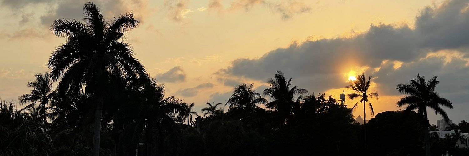 maiad221's profile banner image