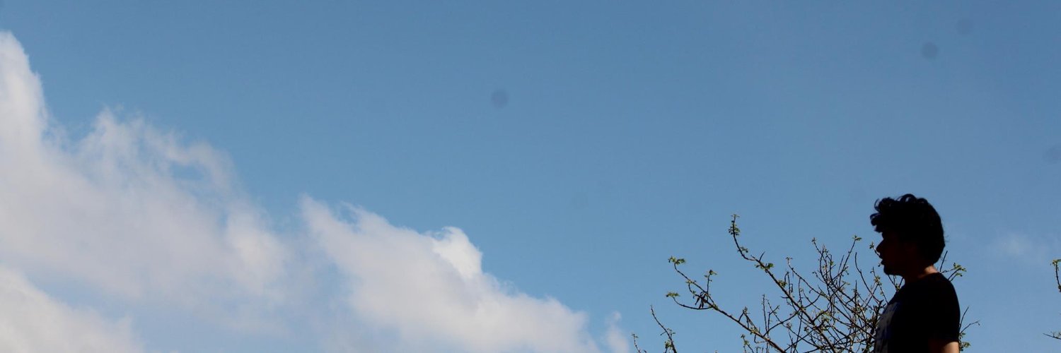 pvksonic's profile banner image