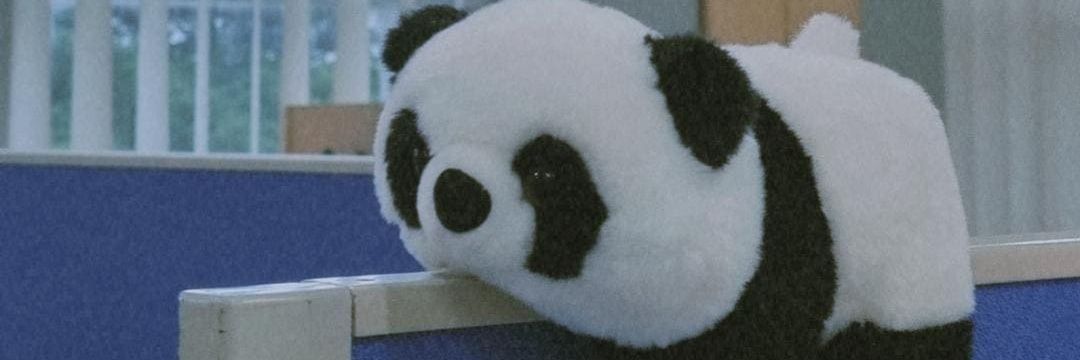 cindyasdf's profile banner image