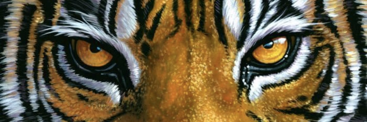 GMSBoosterClub's profile banner image