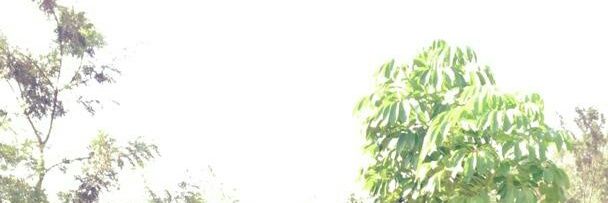 BlamPacifique's profile banner image