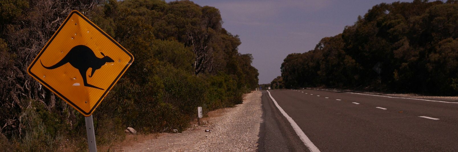 LukeYorke's profile banner image