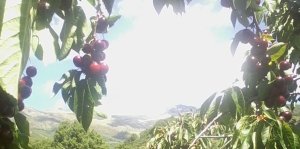 lele231080's profile banner image