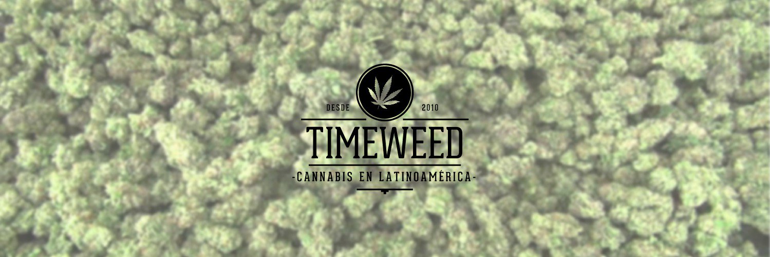 timeweed's profile banner image