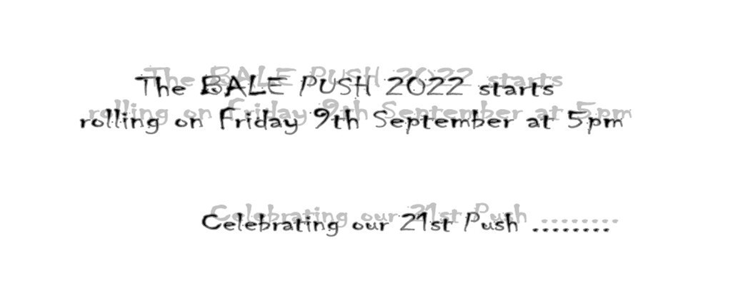 Crantock Bale Push banner