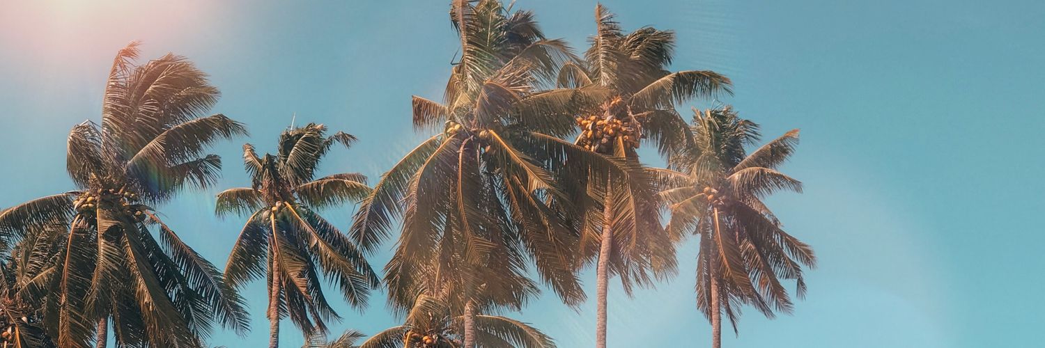 SilvertagIllest's profile banner image