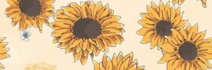 yessirl's profile banner image