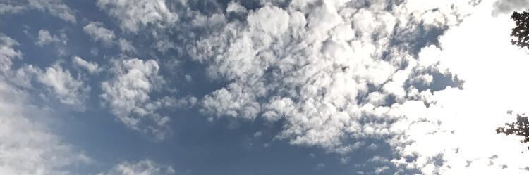 Toms_Tweetin's profile banner image