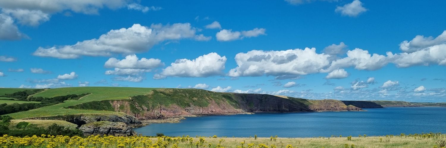 Jamiah Williams banner