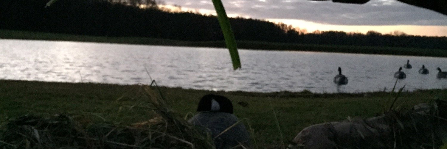 RussellPatrick's profile banner image