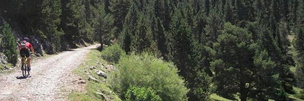 joa_pen Profile Banner