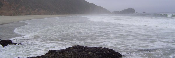 DrSteveSutton Profile Banner