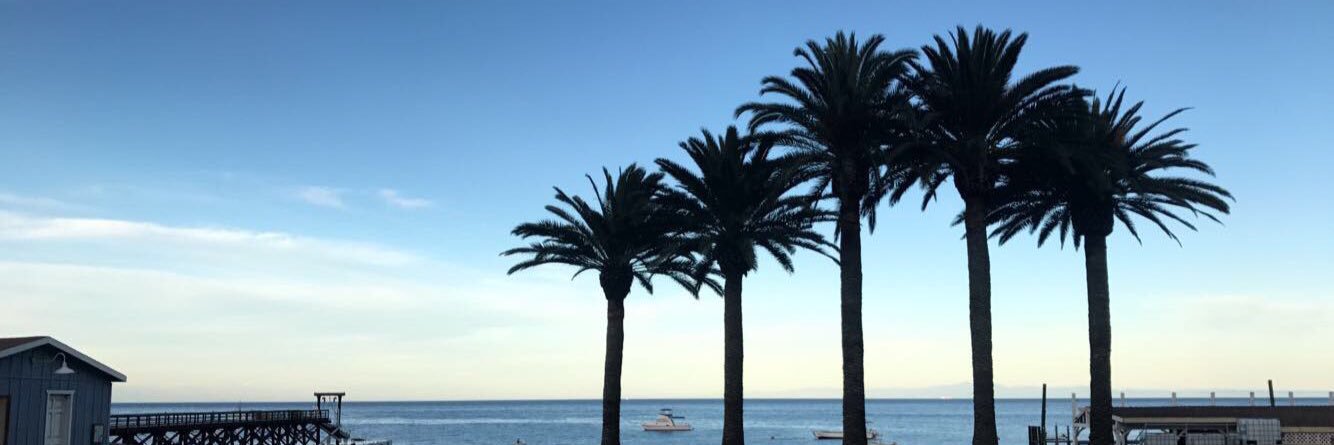 kijanka_'s profile banner image