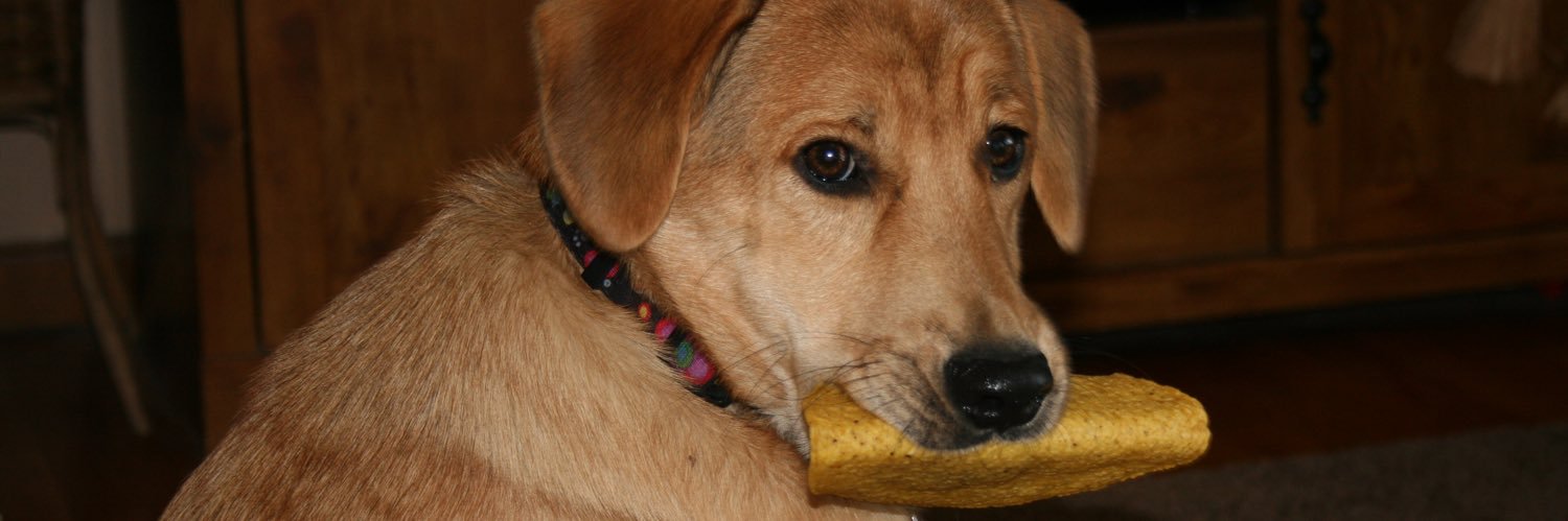 happyg50's profile banner image