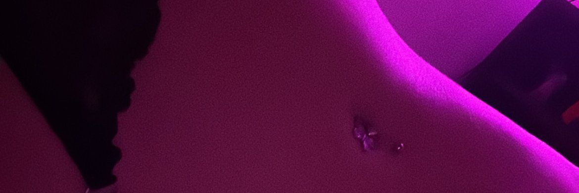 PreLiTime's profile banner image