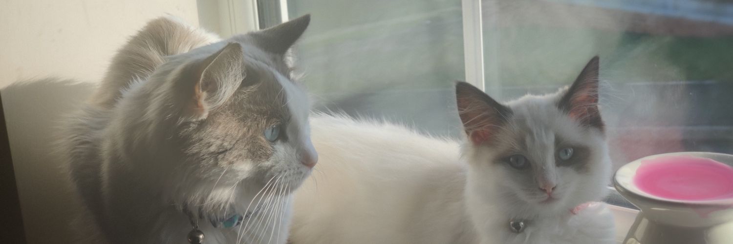 Yemslol1's profile banner image