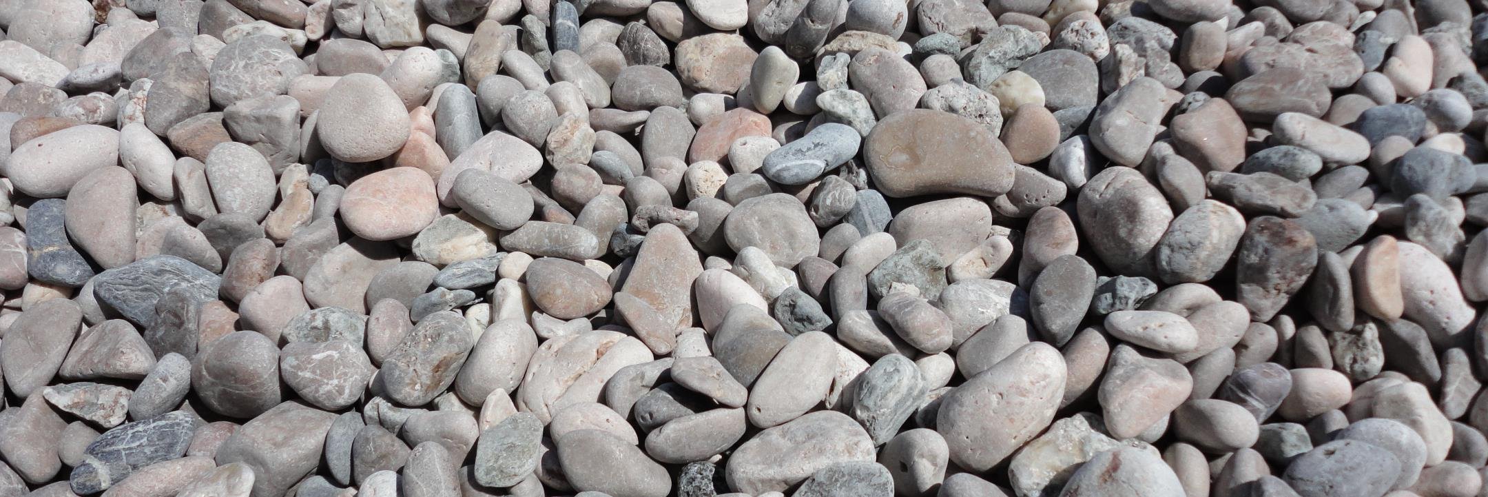 Kelly O'Brien banner