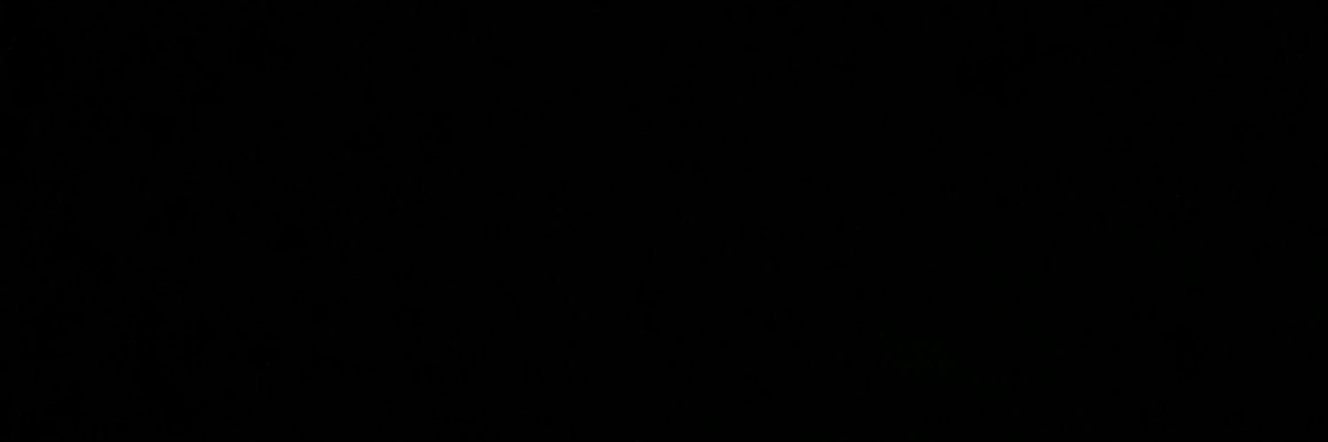 MateComolli1's profile banner image