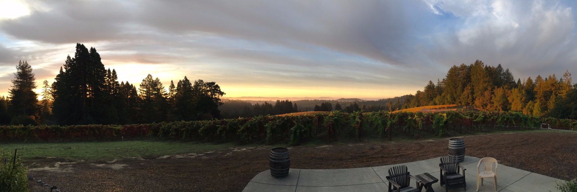 Matt Pedersen banner