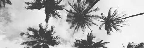 mistercapx's profile banner image
