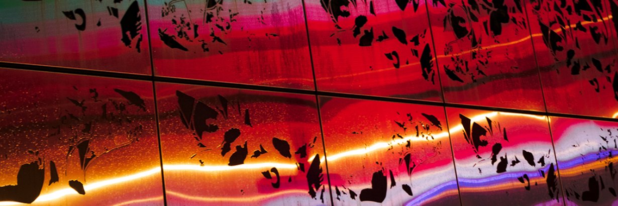noelrouart's profile banner image
