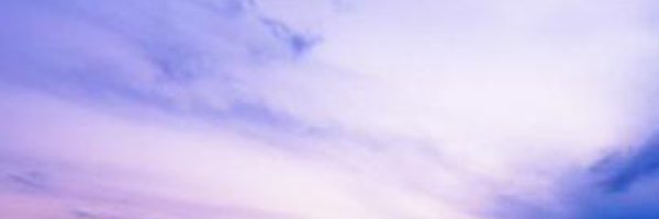 Kim. banner