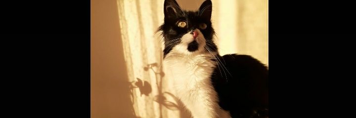 esrakpinarr's profile banner image