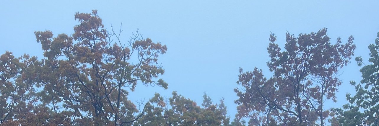 DatBoyMcCoy's profile banner image