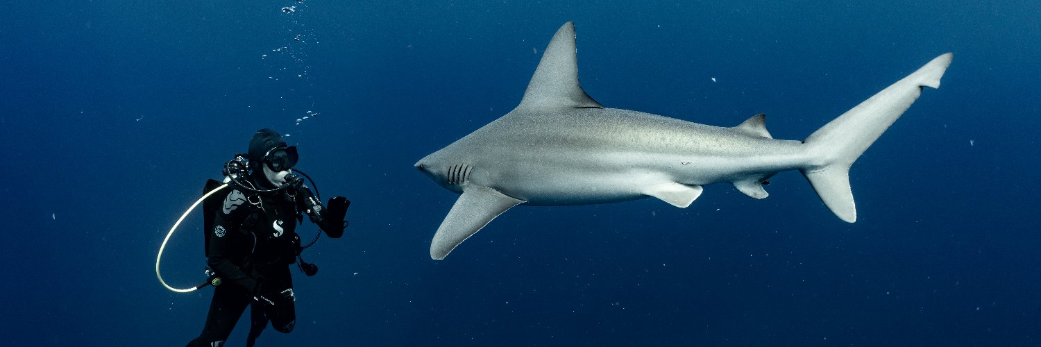 MasterDiverJill's profile banner image