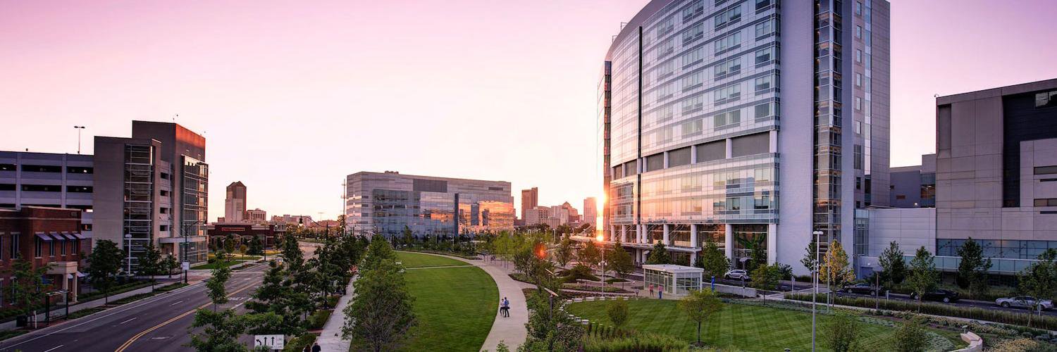 Peter L. Lu, MD, MS banner